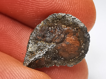 Iron meteorite (Siderite) : Agoudal, Morocco