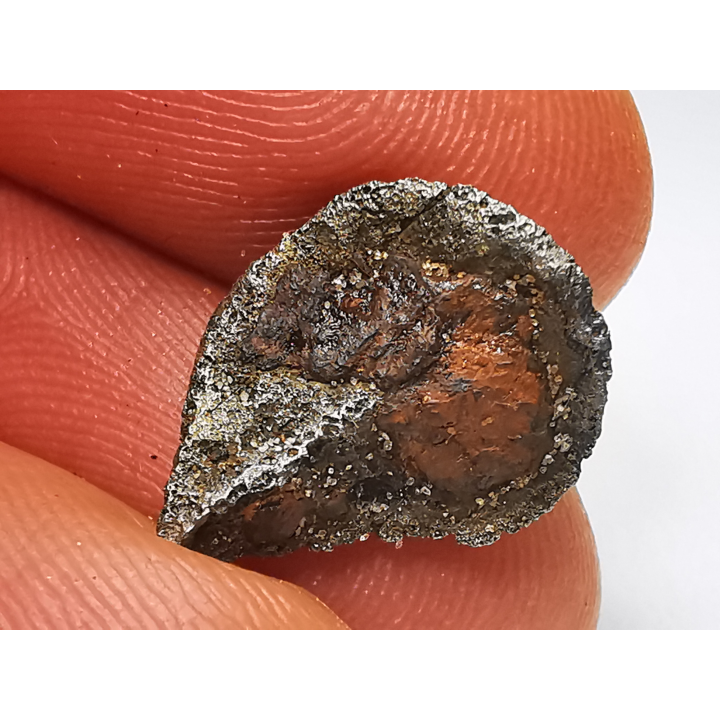 Météorite (Sidérite) d'Agoudal, Maroc