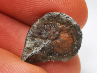 Iron meteorite (Siderite) : Agoudal, Morocco
