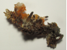 QUARTZ orange cluster