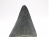 Fossil tooth of Great white shark: Carcharodon carcharias