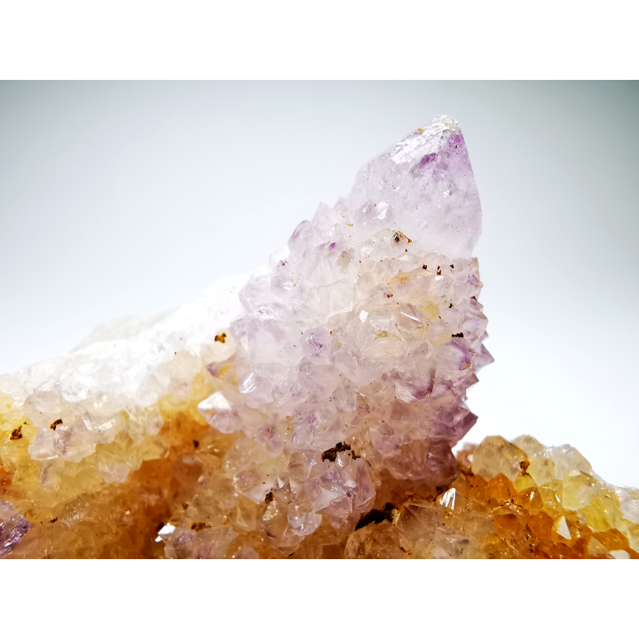 Quartz améthyste "Cactus" de Mbombela – Afrique du Sud