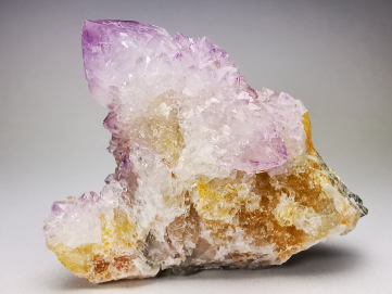 Quartz améthyste "Cactus" de Mbombela – Afrique du Sud