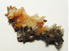 QUARTZ orange cluster