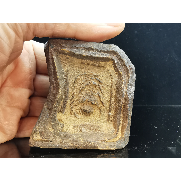 TSESITE, "desert stone"  Sahara, Morocco