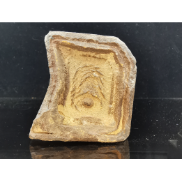 TSESITE, "desert stone"  Sahara, Morocco