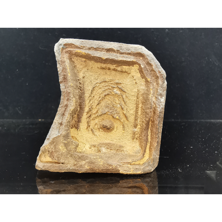 TSESITE, "desert stone"  Sahara, Morocco