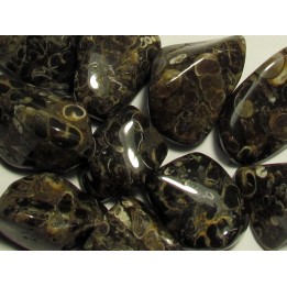 pierre roulée : agate turitelles