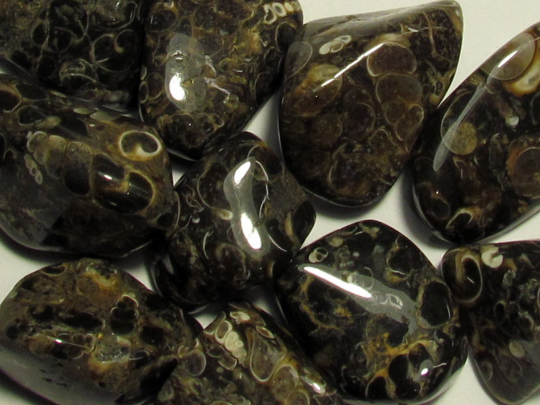 pierre roulée : agate turitelles
