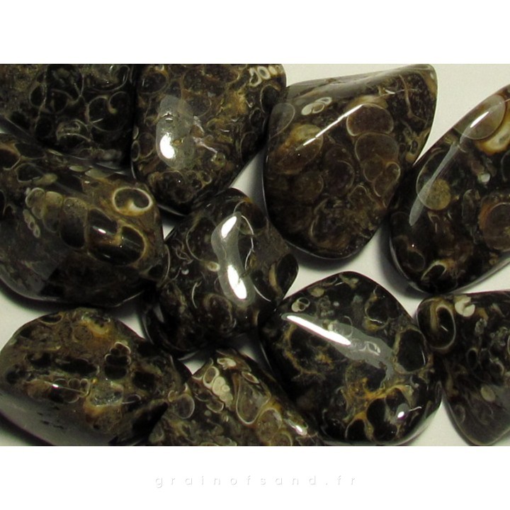 pierre roulée : agate turitelles