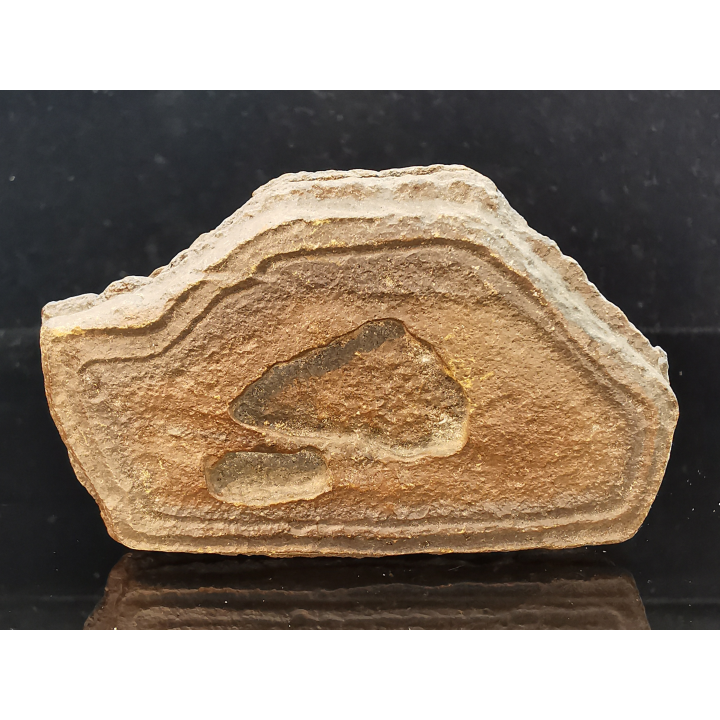TSESITE, "desert stone"  Sahara, Morocco