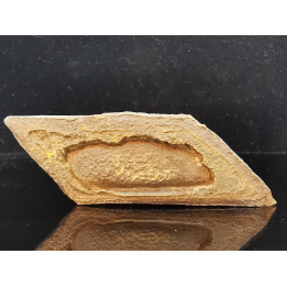 TSESITE, "desert stone"  Sahara, Morocco