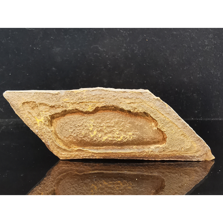 TSESITE, "desert stone"  Sahara, Morocco