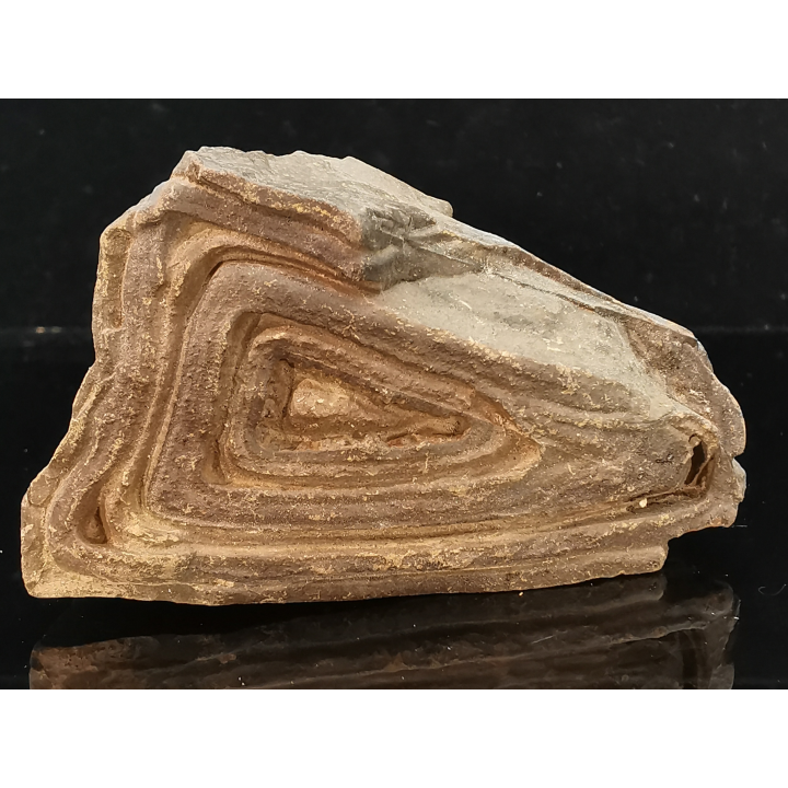 TSESITE, "desert stone"  Sahara, Morocco