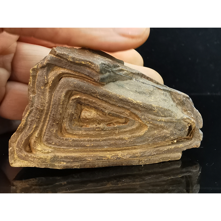 TSESITE, "desert stone"  Sahara, Morocco