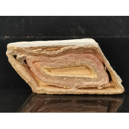 TSESITE, "desert stone"  Sahara, Morocco