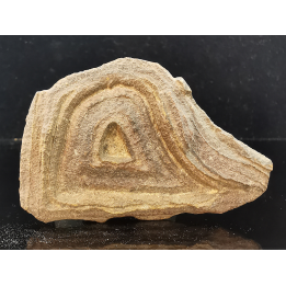 TSESITE, "desert stone"  Sahara, Morocco
