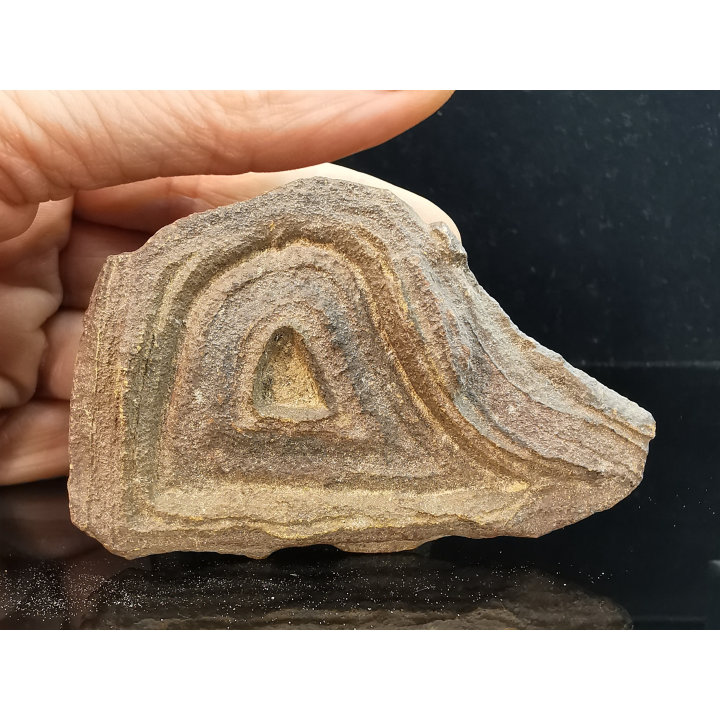 TSESITE, "desert stone"  Sahara, Morocco