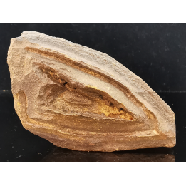 TSESITE, "desert stone"  Sahara, Morocco