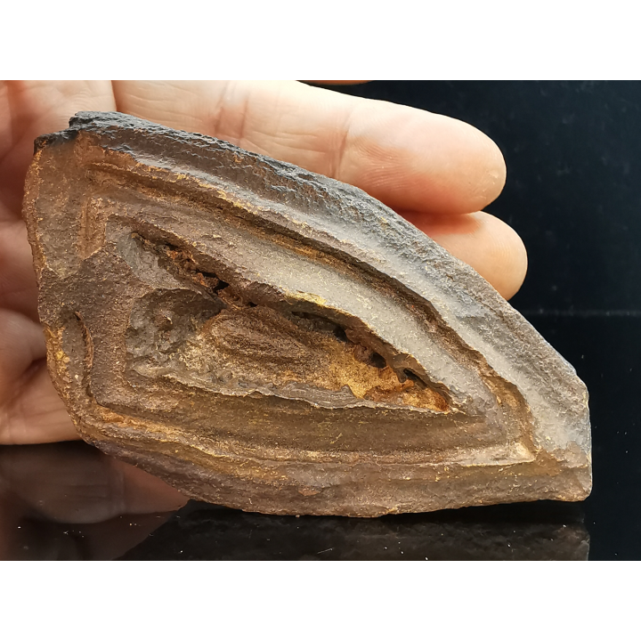 TSESITE, "desert stone"  Sahara, Morocco