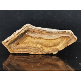 TSESITE, "desert stone"  Sahara, Morocco