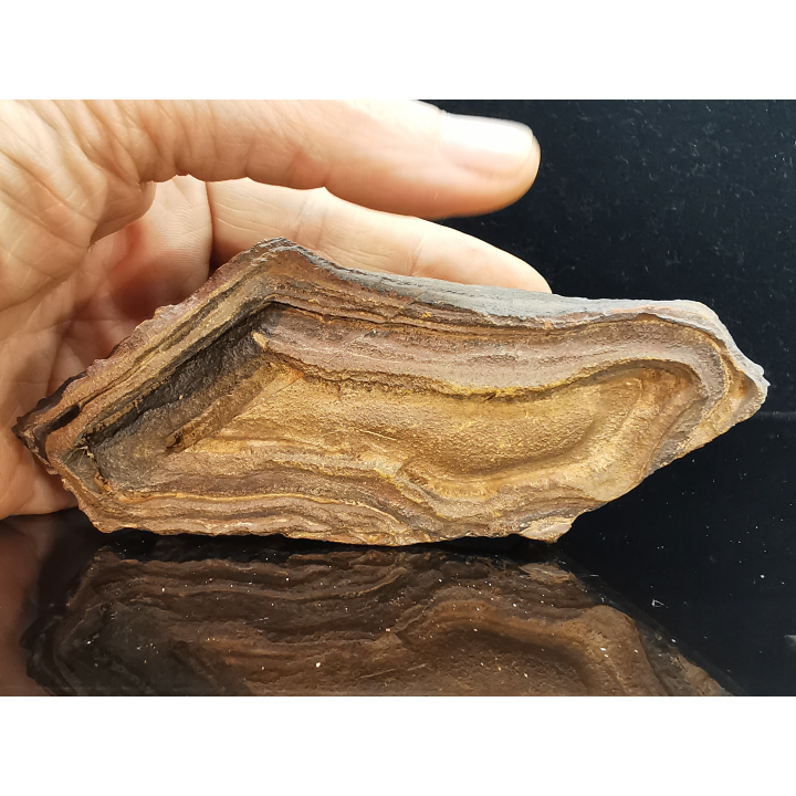 TSESITE, "desert stone"  Sahara, Morocco
