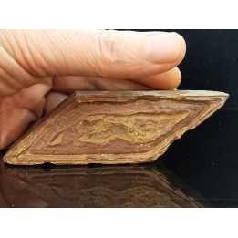 TSESITE, "desert stone"  Sahara, Morocco