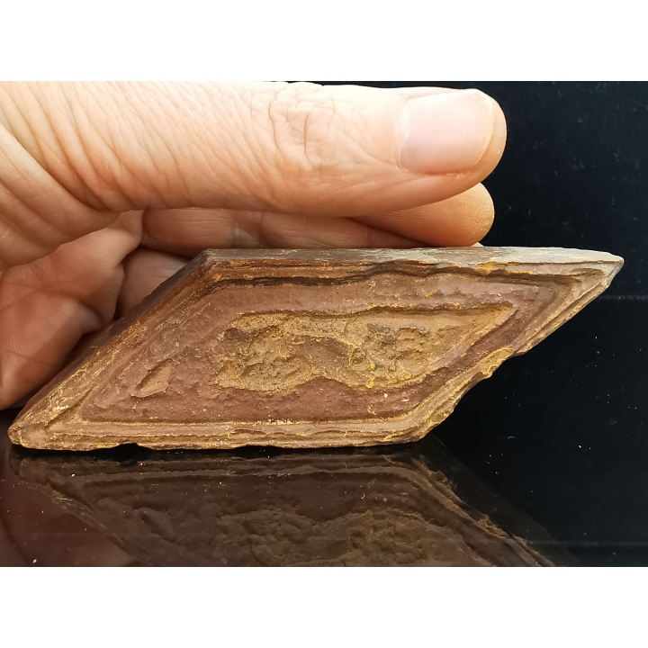 TSESITE, "desert stone"  Sahara, Morocco