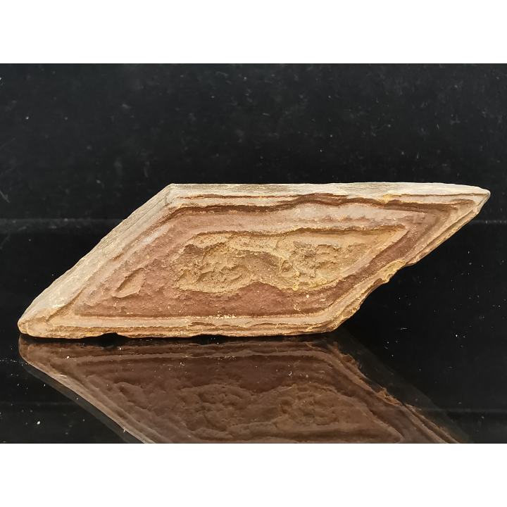 TSESITE, "desert stone"  Sahara, Morocco