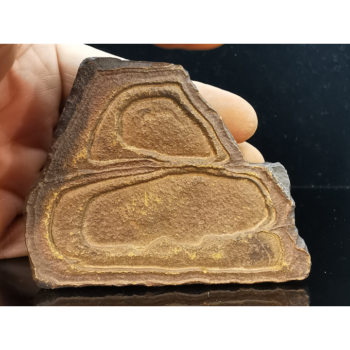 TSESITE, "desert stone"  Sahara, Morocco