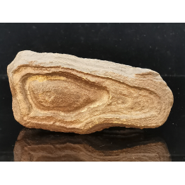 TSESITE, "desert stone"  Sahara, Morocco