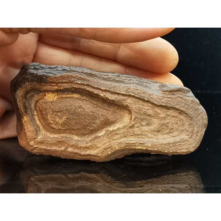 TSESITE, "desert stone"  Sahara, Morocco