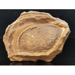 TSESITE, "desert stone"  Sahara, Morocco