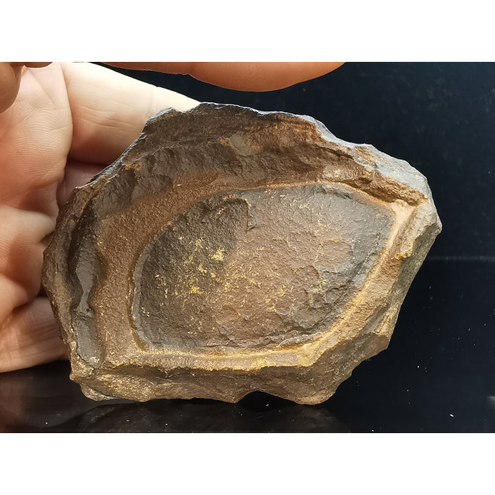 TSESITE, "desert stone"  Sahara, Morocco