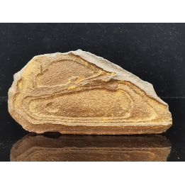 TSESITE, "desert stone"  Sahara, Morocco