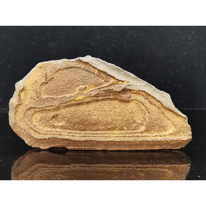 TSESITE, "desert stone"  Sahara, Morocco