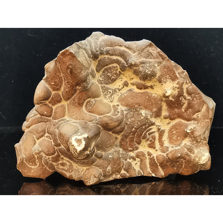 TSESITE, "desert stone"  Sahara, Morocco