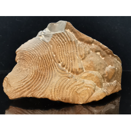 TSESITE, "desert stone"  Sahara, Morocco