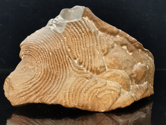 TSESITE, "desert stone"  Sahara, Morocco