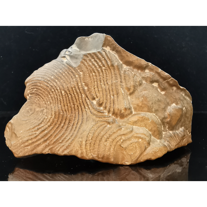 TSESITE, "desert stone"  Sahara, Morocco