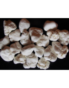 MAGNESITE