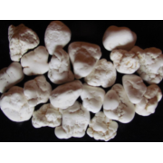 MAGNESITE