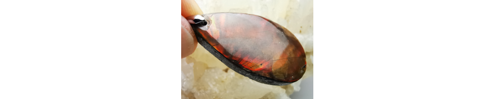 AMMOLITE
