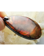 AMMOLITE