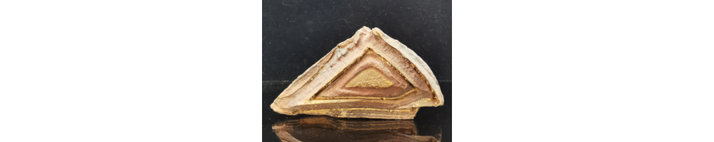 Tsetite