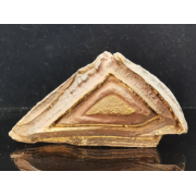 Tsetite